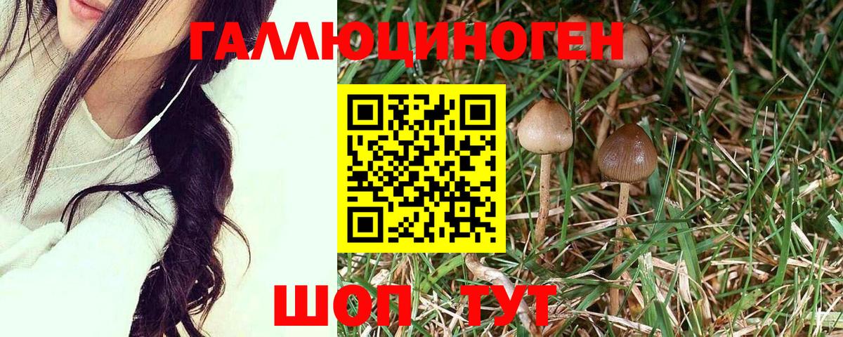 Псилоцибиновые грибы Magic Shrooms  Вход с VPN  Новотроицк  Псилоцибиновые грибы мухоморы 