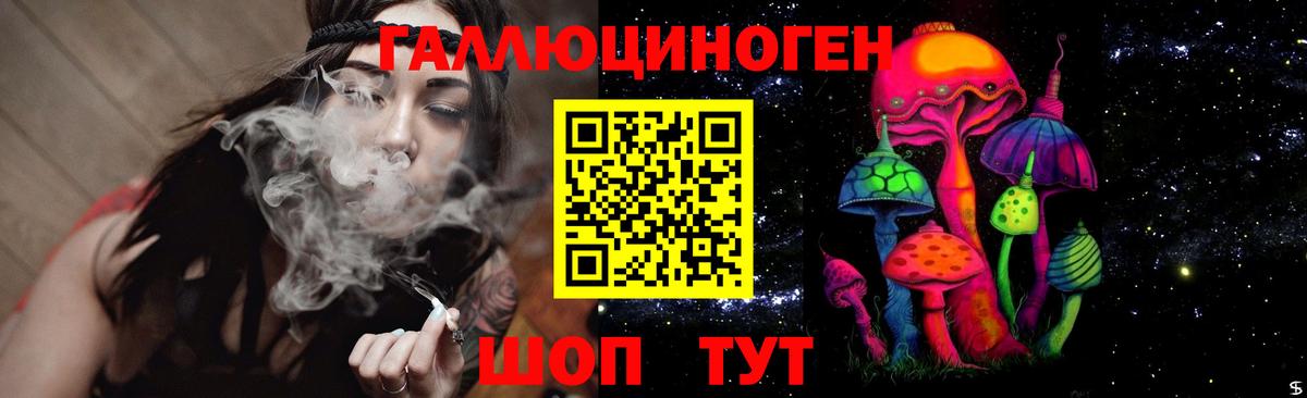 Псилоцибиновые грибы GOLDEN TEACHER Новотроицк